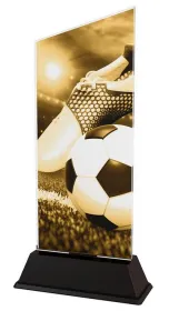 Akrylátová trofej CAS0101 | Fotbal Výška cm: 21,5