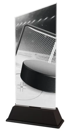 Akrylátová trofej CAS0126 | Hokej Výška cm: 24