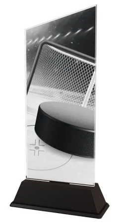 Akrylátová trofej CAS0126 | Hokej Výška cm: 24