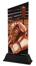 Akrylátová trofej CAS0203 | Bojová umění Výška cm: 19