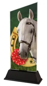 Akrylátová trofej CAS0204 | Jezdectví Výška cm: 24