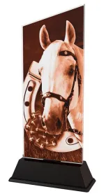 Akrylátová trofej CAS0207 | Jezdectví Výška cm: 24