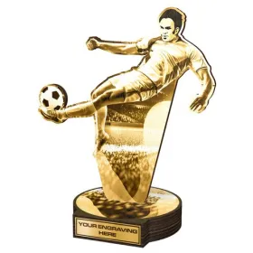 Dřevěná plaketa RWR107 | Fotbal Výška cm: 16