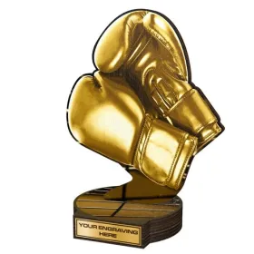 Dřevěná plaketa RWR182 | Bojová umění Výška cm: 30