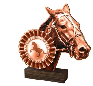 Dřevěná plaketa WF165 | Jezdectví Výška cm: 13,5