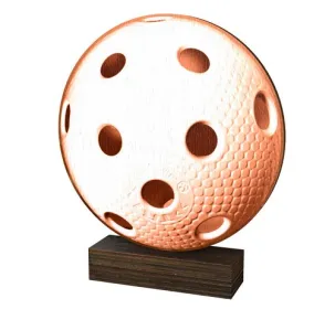 Dřevěná plaketa WF273 | Florbal Výška cm: 17,5