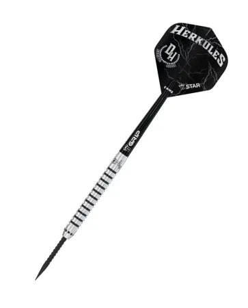 Bull's Šipky Steel Challenger - Dragutin Horvat - 21g