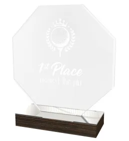 Akrylátová trofej WPLA261 Výška cm: 20