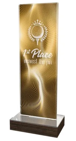 Akrylátová trofej WPLA267 Výška cm: 25