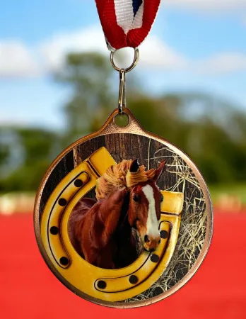 Medaile MDLMAXM55 | Jezdectví Barva: stříbro, Stuha: ST14