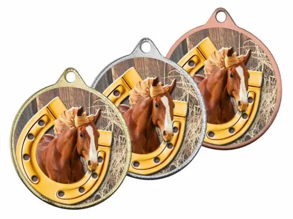 Medaile MDLMAXM55 | Jezdectví Barva: stříbro, Stuha: ST14