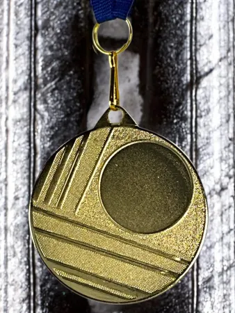 Medaile MD12 Barva: stříbro, Stuha: ST8