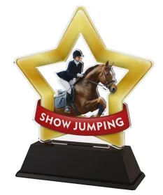 Akrylátová trofej STAR001M33 | Jezdectví Výška cm: 13