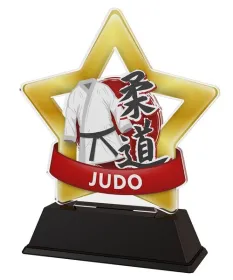 Akrylátová trofej STAR001M36 | Bojová umění Výška cm: 16