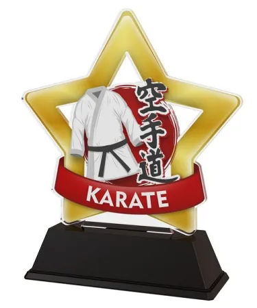 Akrylátová trofej STAR001M37 | Bojová umění Výška cm: 13