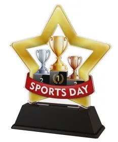 Akrylátová trofej STAR001M47 Výška cm: 16