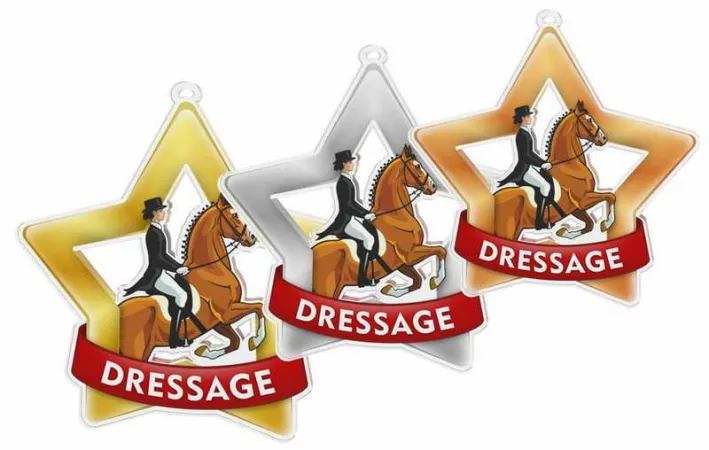 Akrylátová medaile MDASTARM34 | Jezdectví Stuha: ST10, MD průměr: 6