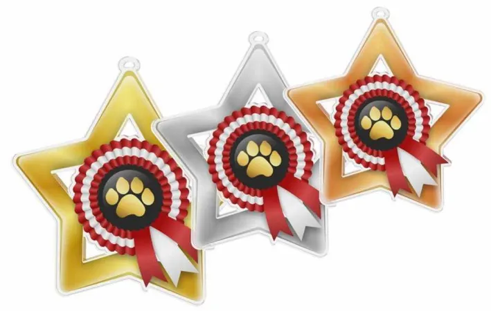 Akrylátová medaile MDASTARM35 | Kynologie Stuha: ST4, MD průměr: 7