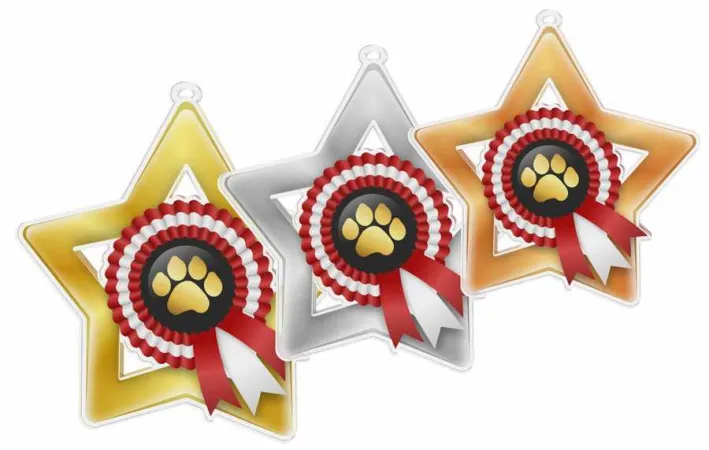 Akrylátová medaile MDASTARM35 | Kynologie Stuha: ST4, MD průměr: 7