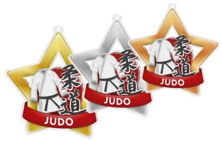 Akrylátová medaile MDASTARM36 | Bojová umění Stuha: ST5, MD průměr: 7