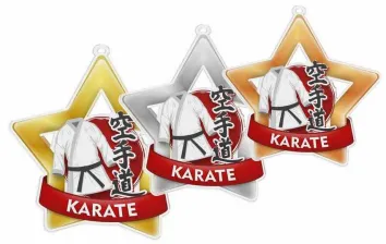 Akrylátová medaile MDASTARM37 | Bojová umění Stuha: ST17, MD průměr: 6