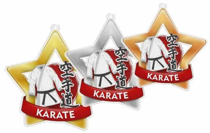 Akrylátová medaile MDASTARM37 | Bojová umění Stuha: ST8, MD průměr: 7