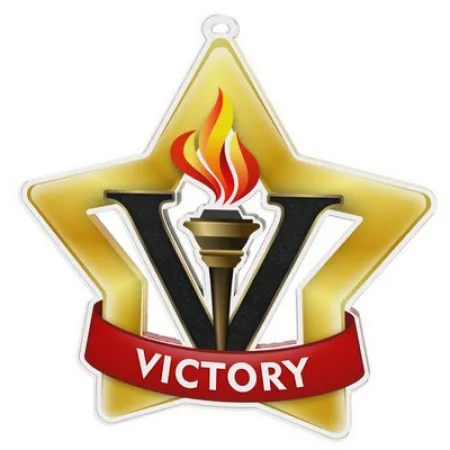 Akrylátová medaile MDASTARM86 Stuha: ST6, MD průměr: 6