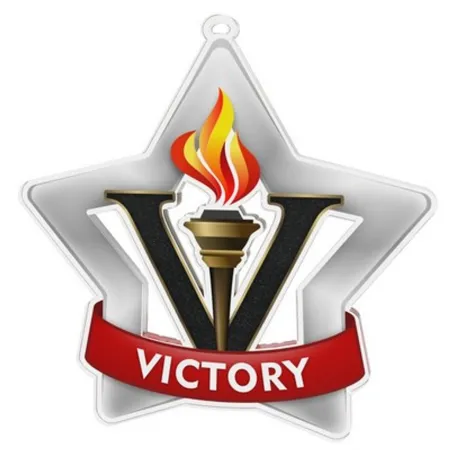 Akrylátová medaile MDASTARM87 Stuha: ST8, MD průměr: 7