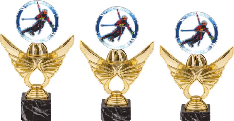 Akrylátová trofej PCAS0001M3 | Sjezdové lyžování Výška cm: 20