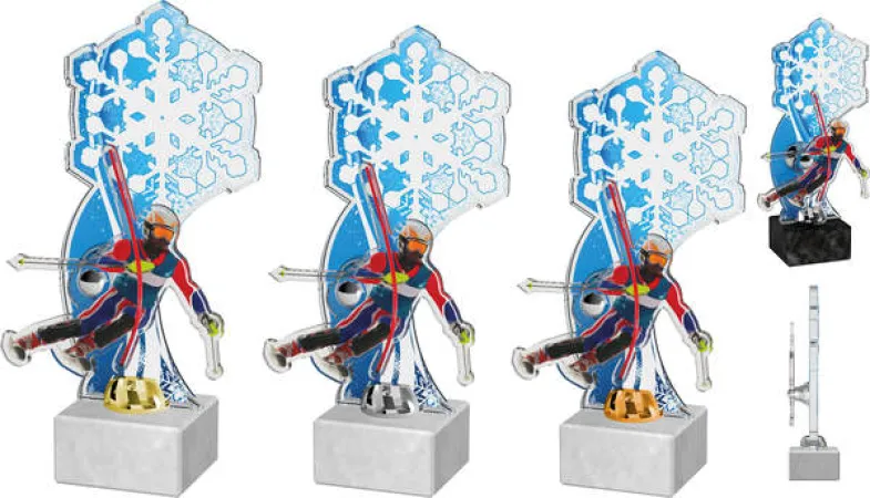 Akrylátová trofej ACTS0020M4 | Sjezdové lyžování Barva: bronz, Podstavec: černý