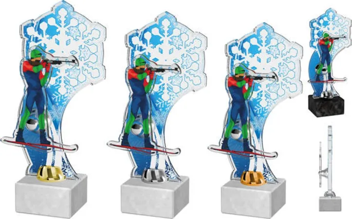 Akrylátová trofej ACTS0020M8 | Biatlon Barva: stříbro, Podstavec: černý