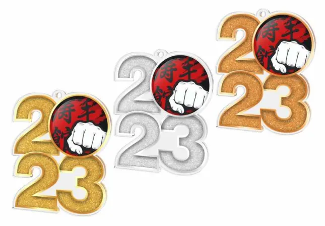 Akrylátová medaile MDA2024M14 | Bojová umění Barva: zlato, Stuha: ST8