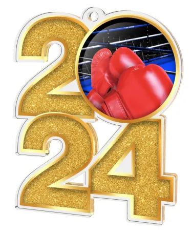 Akrylátová medaile MDA2024M25 | Bojová umění Barva: stříbro, Stuha: ST13