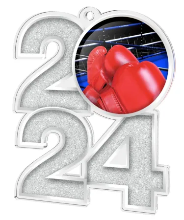 Akrylátová medaile MDA2024M25 | Bojová umění Barva: stříbro, Stuha: ST13