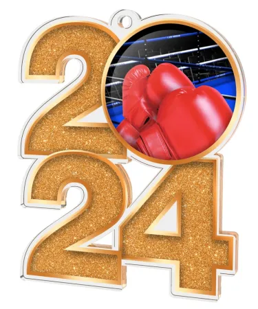 Akrylátová medaile MDA2024M25 | Bojová umění Barva: stříbro, Stuha: ST13