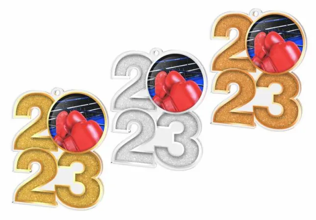 Akrylátová medaile MDA2024M25 | Bojová umění Barva: stříbro, Stuha: ST13