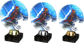 Akrylátová trofej ACTS0006M18 | Sjezdové lyžování Výška cm: 13,5