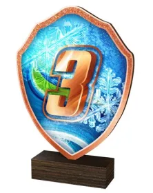 Dřevěná plaketa TFRW430 | Čísla Výška cm: 13,5