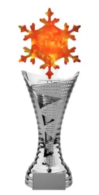 Trofej HLAC01SM54 | Zima Výška cm: 25, Barva: stříbro