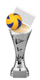 Trofej HLAC01SM32 | Volejbal Výška cm: 36, Barva: stříbro