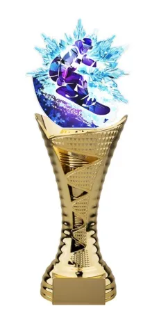 Trofej HLAC01GM42 | Snowboard Výška cm: 25