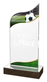 Akrylátová trofej WPLA509 | Fotbal Výška cm: 19,5