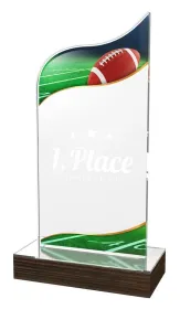 Akrylátová trofej WPLA521 | Americký fotbal Výška cm: 22,5