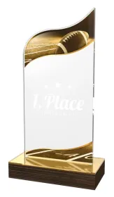 Akrylátová trofej WPLA522 | Americký fotbal Výška cm: 22,5