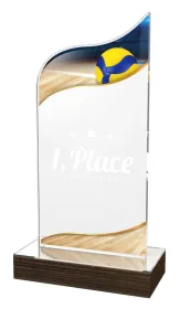 Akrylátová trofej WPLA529 | Volejbal Výška cm: 19,5