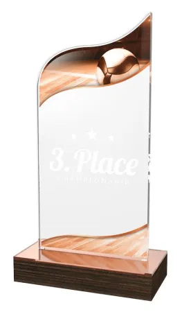 Akrylátová trofej WPLA532 | Volejbal Výška cm: 22,5