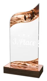 Akrylátová trofej WPLA560 | Rybaření Výška cm: 21
