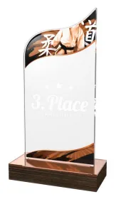 Akrylátová trofej WPLA588 | Bojová umění Výška cm: 19,5