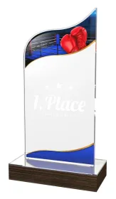 Akrylátová trofej WPLA589 | Bojová umění Výška cm: 21