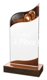 Akrylátová trofej WPLA592 | Bojová umění Výška cm: 19,5